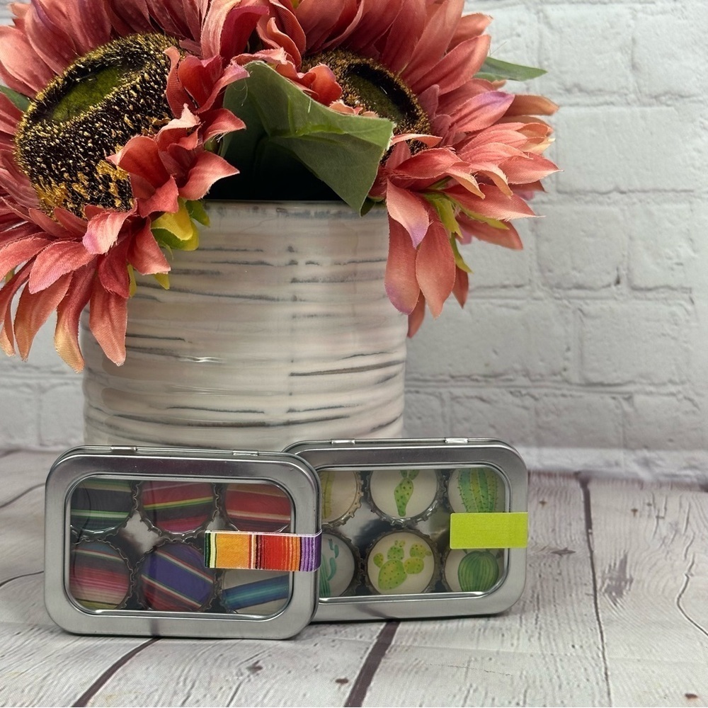 NWT Tin Containers serape and cactus magnet set boho southwest succulent